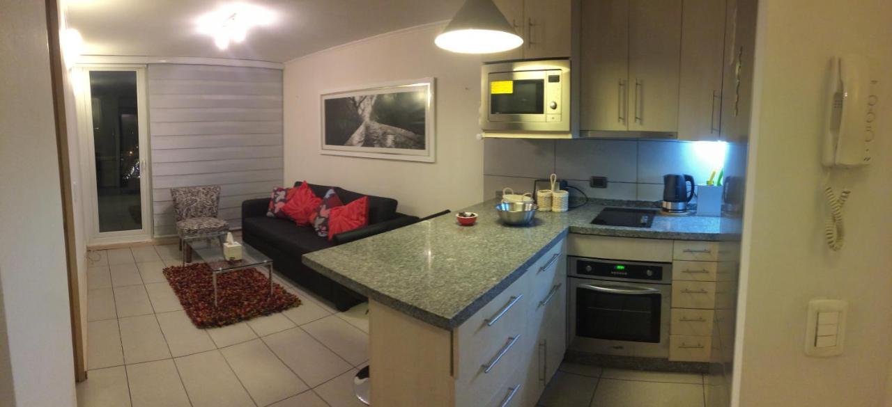 Departamento De Lujo 1 En Barrio Bellavista Apartment Santiago Luaran gambar